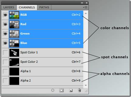 photoshop paint in a single chanel|Saving only one color channel .